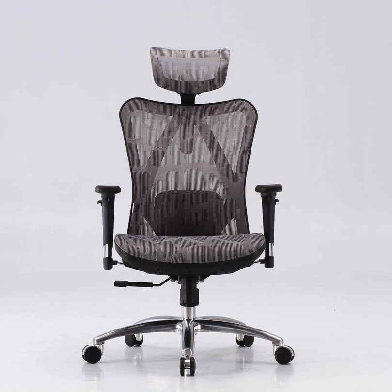 Sihoo M57 Ergonomic Office Chair, Computer Chair Desk Chair High Back Chair Breathable,3D Armrest and Lumbar V255-SIHOO-M57-0009-GY