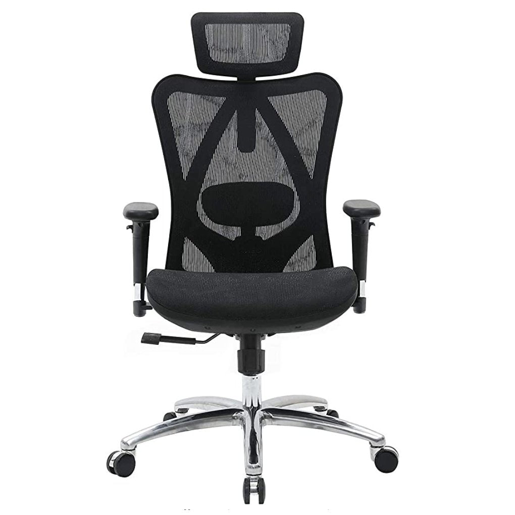 Sihoo M57 Ergonomic Office Chair, Computer Chair Desk Chair High Back Chair Breathable,3D Armrest and Lumbar V255-SIHOO-M57-0009-GY