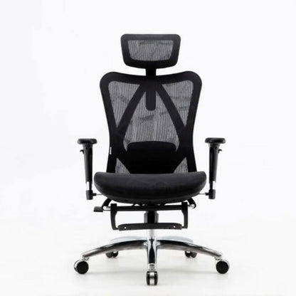 Sihoo M57 Ergonomic Office Chair, Computer Chair Desk Chair High Back Chair Breathable,3D Armrest and Lumbar V255-SIHOO-M57-0009-GY