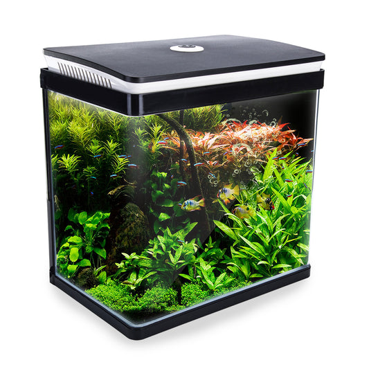 Aquarium Curved Glass RGB LED Fish Tank Set Filter Pump 30L V274-AQ-FT30L-BK