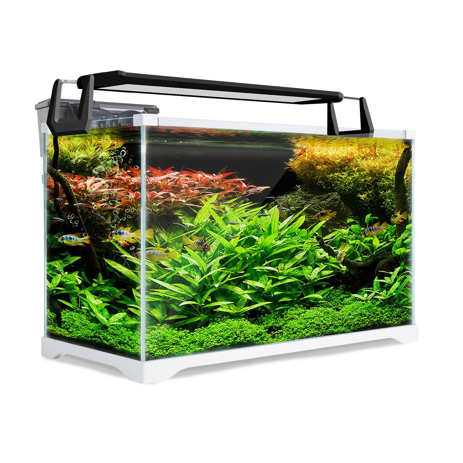 Aquarium Starfire Glass Fish Tank Set Filter Pump 39L V274-AQ-FT35L