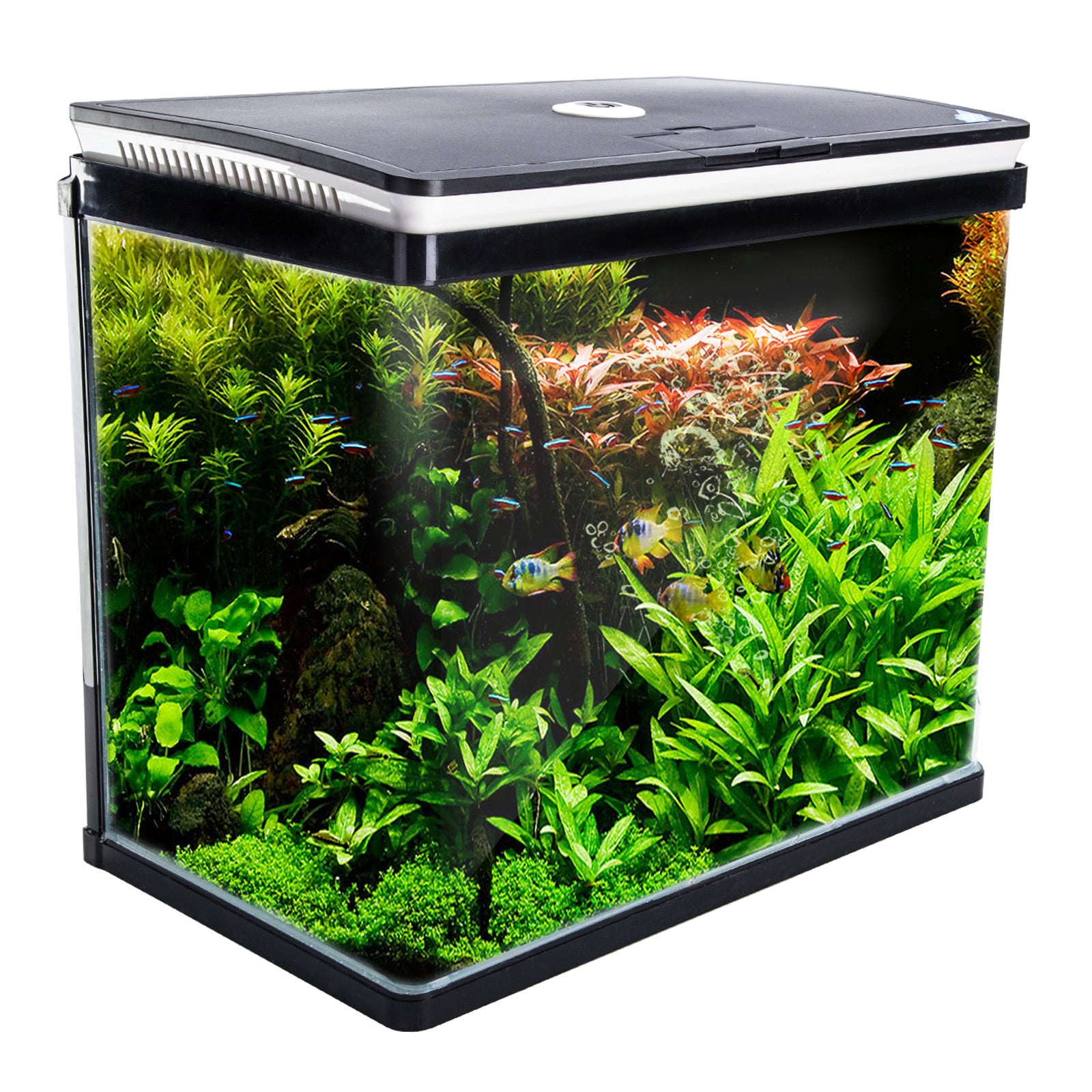 Aquarium Curved Glass RGB LED Fish Tank Set Filter Pump 52L V274-AQ-FT52L-BK