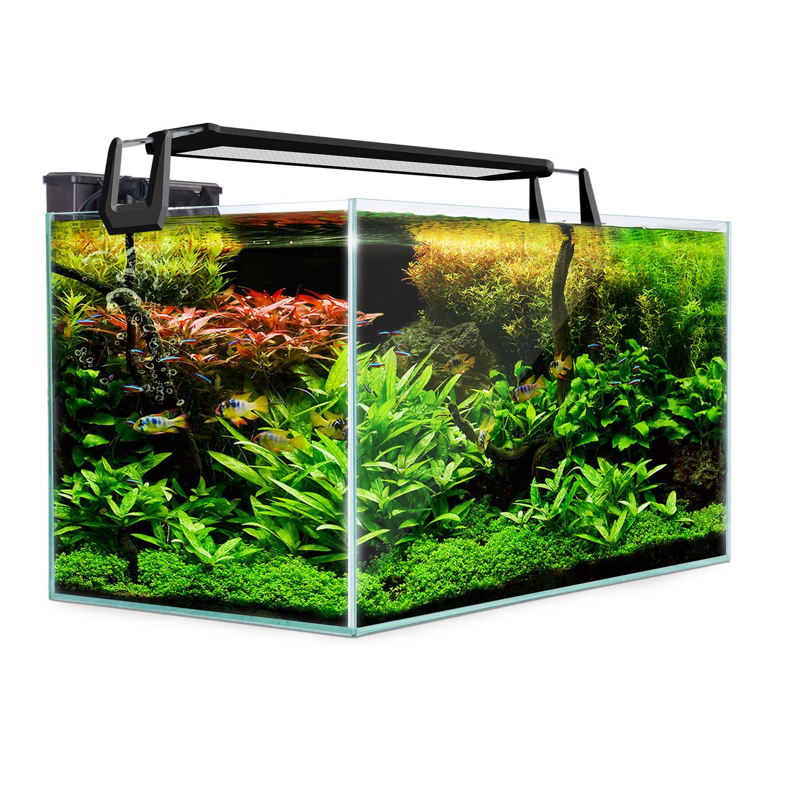 Aquarium Starfire Glass Fish Tank Set Filter Pump 70L V274-AQ-FT70L