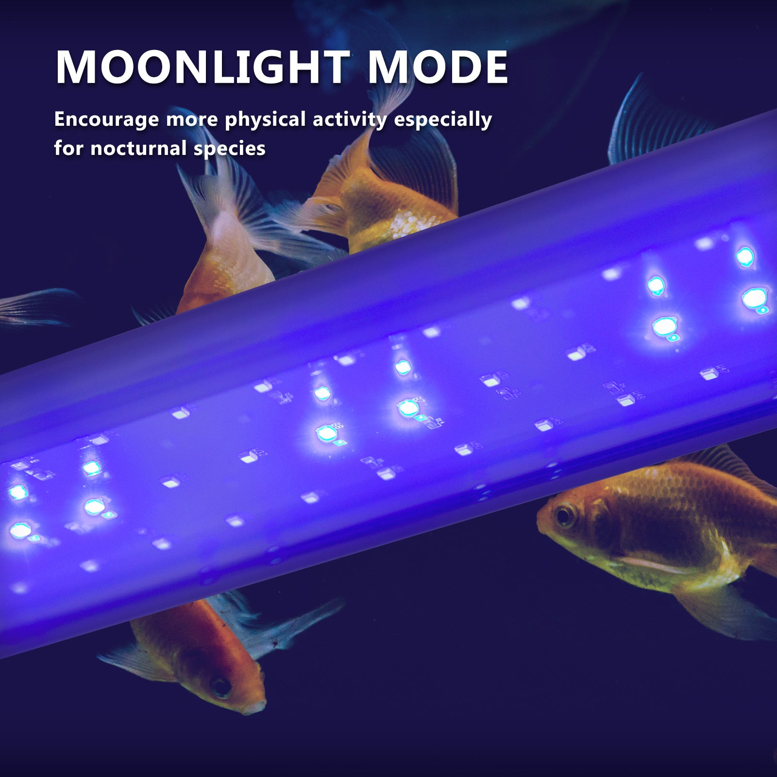11W Aquarium Blue White LED Light for Tank 50-70cm V274-AQ-LED60-11W