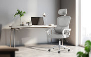 Ergonomic Reclining Office Chair - Lumbar Support, Adjustable Headrest VELTRA - GREY V274-FT-OC-2656B-WHGY
