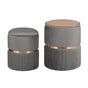 2X Side Table Storage Ottoman - Velvet Padded Stool Vanity Footstool REMI GREY V274-FT-VR-352VASS-GY