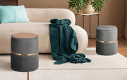 2X Side Table Storage Ottoman - Velvet Padded Stool Vanity Footstool REMI GREY V274-FT-VR-352VASS-GY