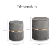 2X Side Table Storage Ottoman - Velvet Padded Stool Vanity Footstool REMI GREY V274-FT-VR-352VASS-GY