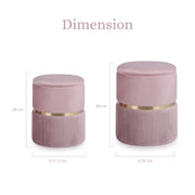2X Side Table Storage Ottoman - Velvet Padded Stool Vanity Footstool REMI Pink V274-FT-VR-352VASS-PK