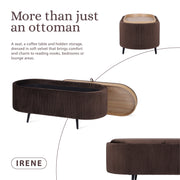 Coffee Table Storage Ottoman - Velvet Padded Blanket Box Bench IRENE BROWN V274-FT-VR-945VAL-BN