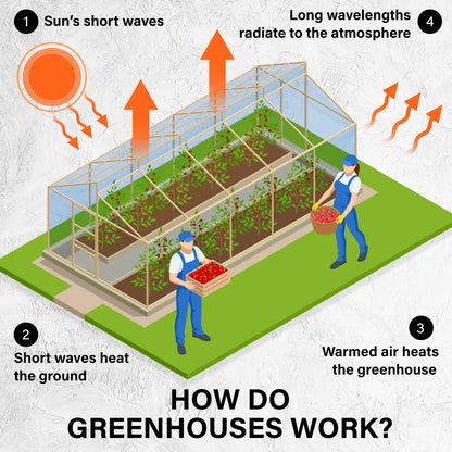 Garden Greenhouse Walk-In Shed 3.5x2x2M PE Apex V274-GN-GH352020T-GN