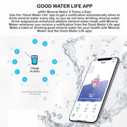 Mineral Maker MORBIDO Alkaline Filter Water Bottle + a Mineral Stone Pouch GREEN V274-HA-AM-MINBOT-MT