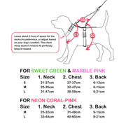 Dog Double-Lined Straps Harness Adjustable M SWEET GREEN V274-PET-BH-2HARN-M-SWGN