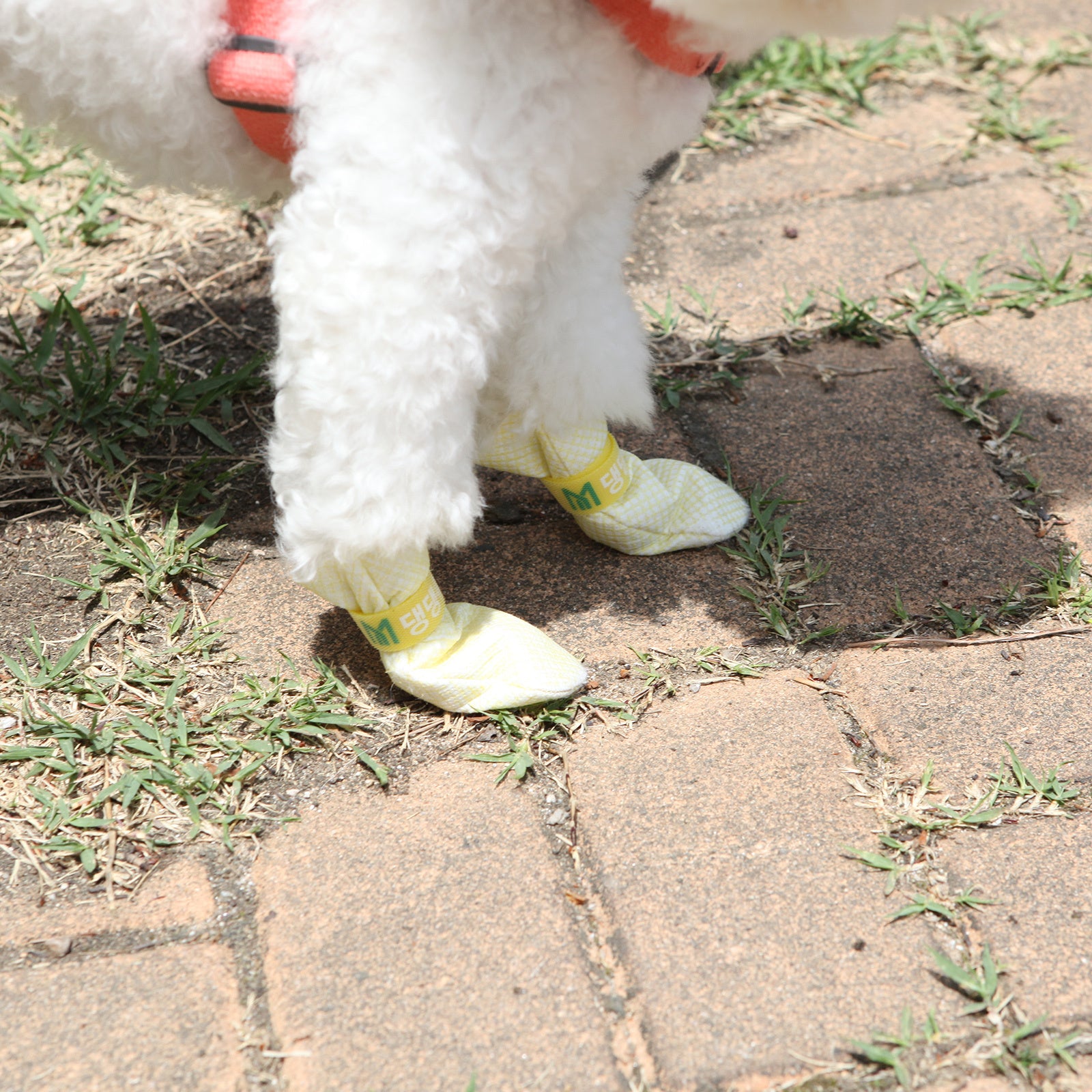 28pc X Dog Shoes Waterproof Disposable Boots Anti-Slip Pet Socks M VIOLET V274-PET-MIR-DDSHOEM-VT