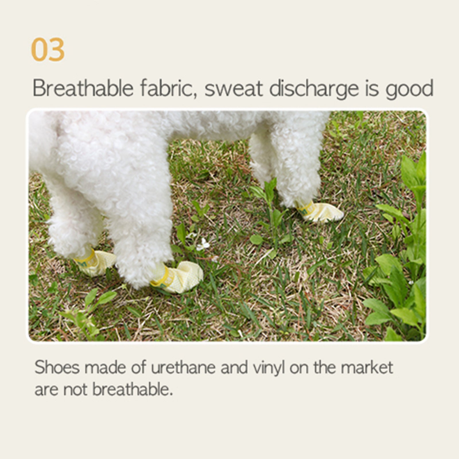 28pc X Dog Shoes Waterproof Disposable Boots Anti-Slip Pet Socks M VIOLET V274-PET-MIR-DDSHOEM-VT