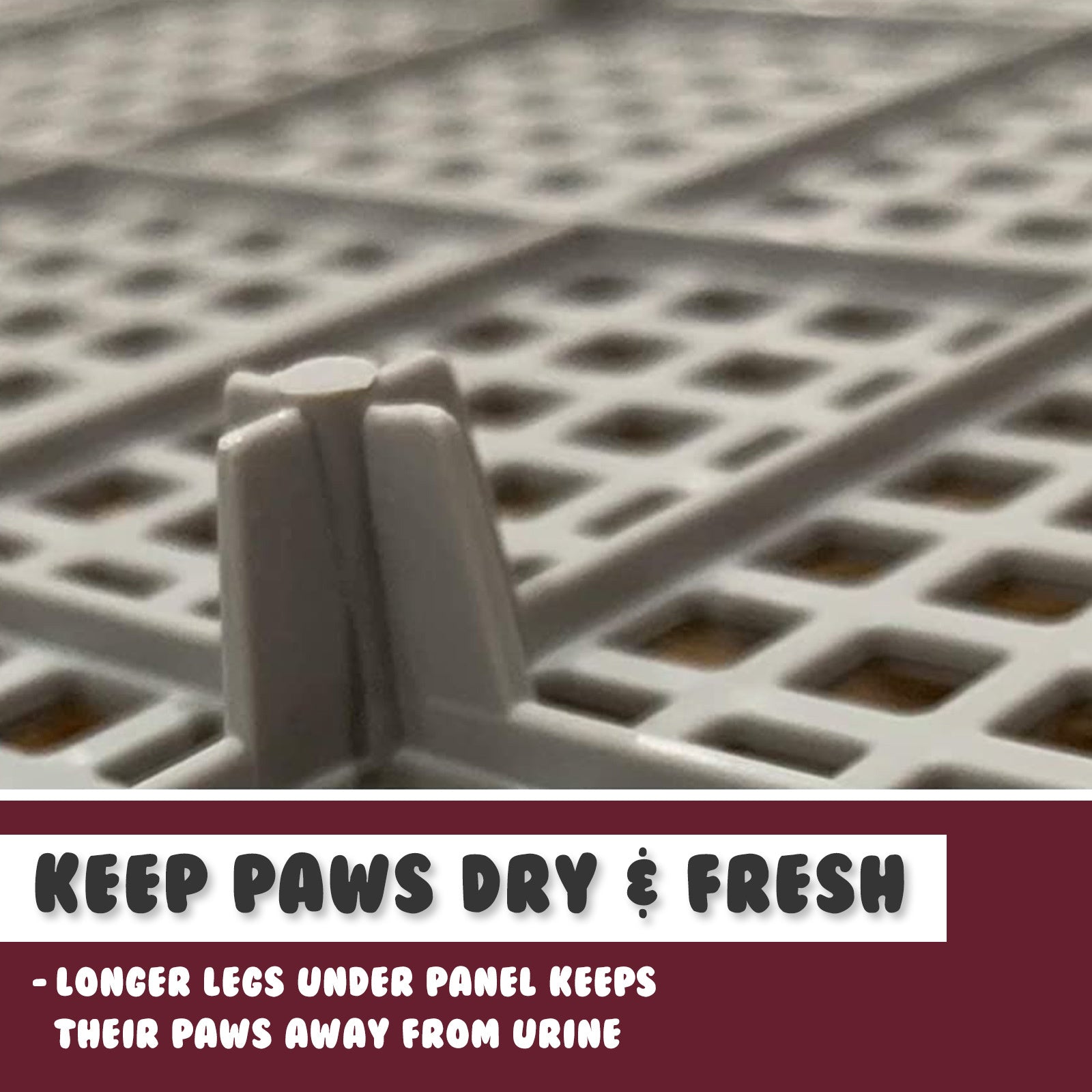 Dog Pet Potty Tray Training Toilet Raised Walls T1 WINE V274-PET-POTT1-WN