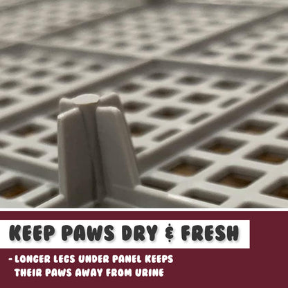 Dog Pet Potty Tray Training Toilet Raised Walls T1 WINE V274-PET-POTT1-WN