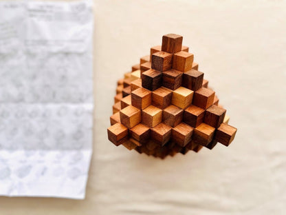 Japanese Interlocking Ladder Puzzle V277-JILP
