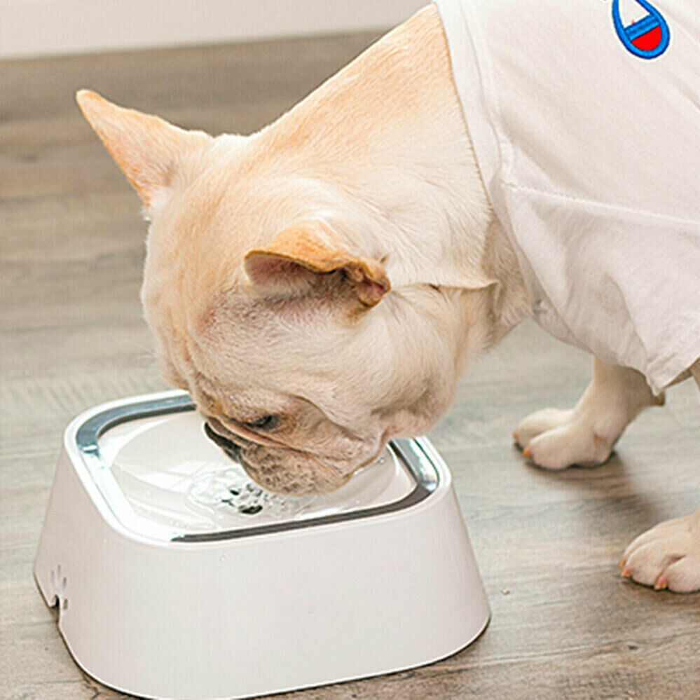 YES4PETS 1 x Medium Pet No Spill Feeder Bowl Dog Cat Puppy slow food Interactive Dish Dispenser V278-1-X-KLW-07-NOSPILLBOWL-GR