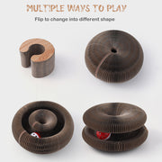 YES4PETS 2 x Small Magic Organ Cat Kitten Scratching Board Toy Play Best Scratcher V278-2-X-CAT-TOY-YT03