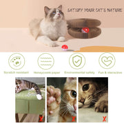 YES4PETS 2 x Small Magic Organ Cat Kitten Scratching Board Toy Play Best Scratcher V278-2-X-CAT-TOY-YT03