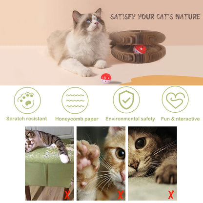 YES4PETS 2 x Small Magic Organ Cat Kitten Scratching Board Toy Play Best Scratcher V278-2-X-CAT-TOY-YT03