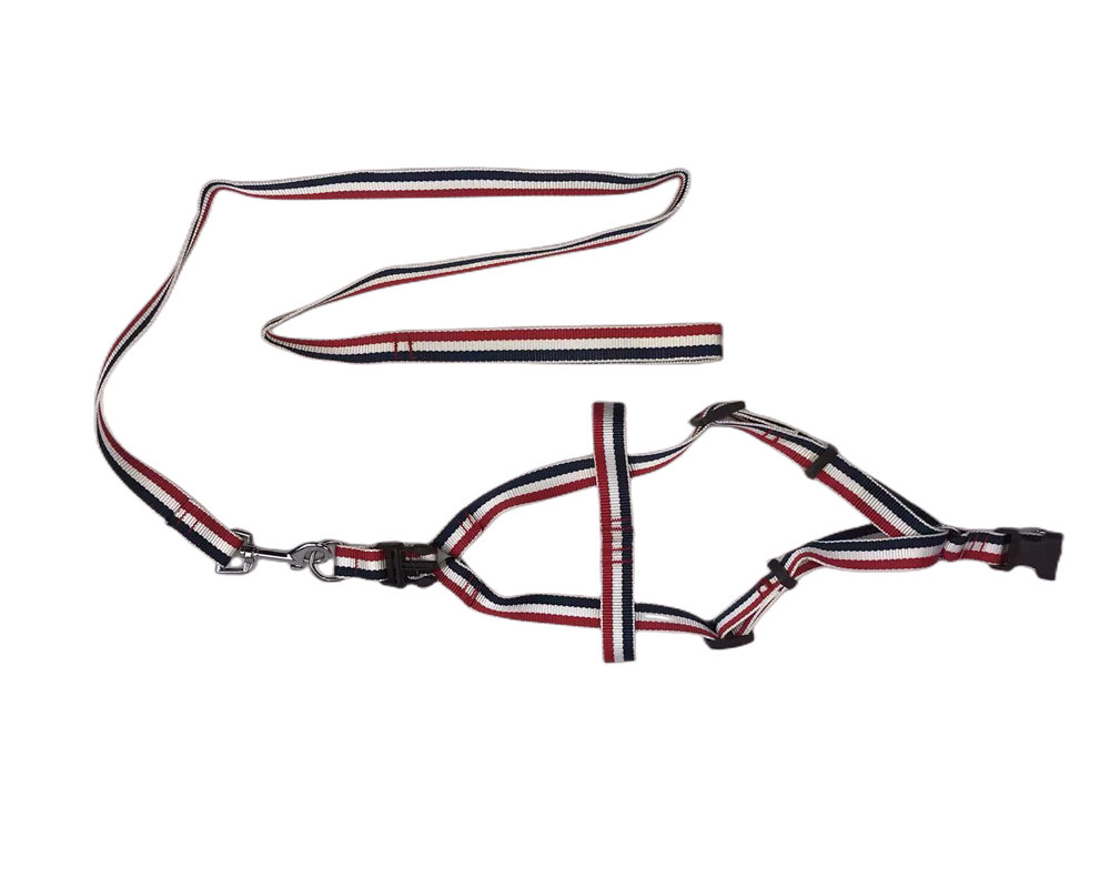 YES4PETS 2 X Large Pet Dog Harness Collar leash lead V278-2-X-TB-020