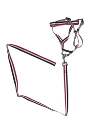 YES4PETS 2 X Large Pet Dog Harness Collar leash lead V278-2-X-TB-020