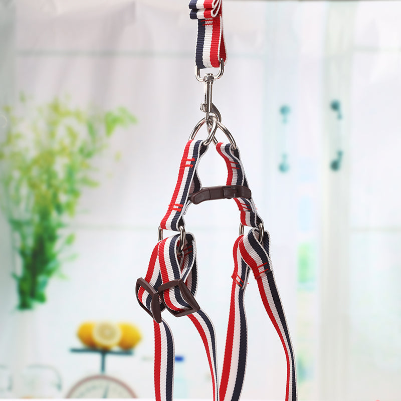 YES4PETS 2 X Large Pet Dog Harness Collar leash lead V278-2-X-TB-020