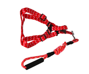YES4PETS 2 X Medium Pet Dog Cat Puppy Kitten Rabbit Dog Harness Collar leash lead 5 Color V278-2-X-TH-02215