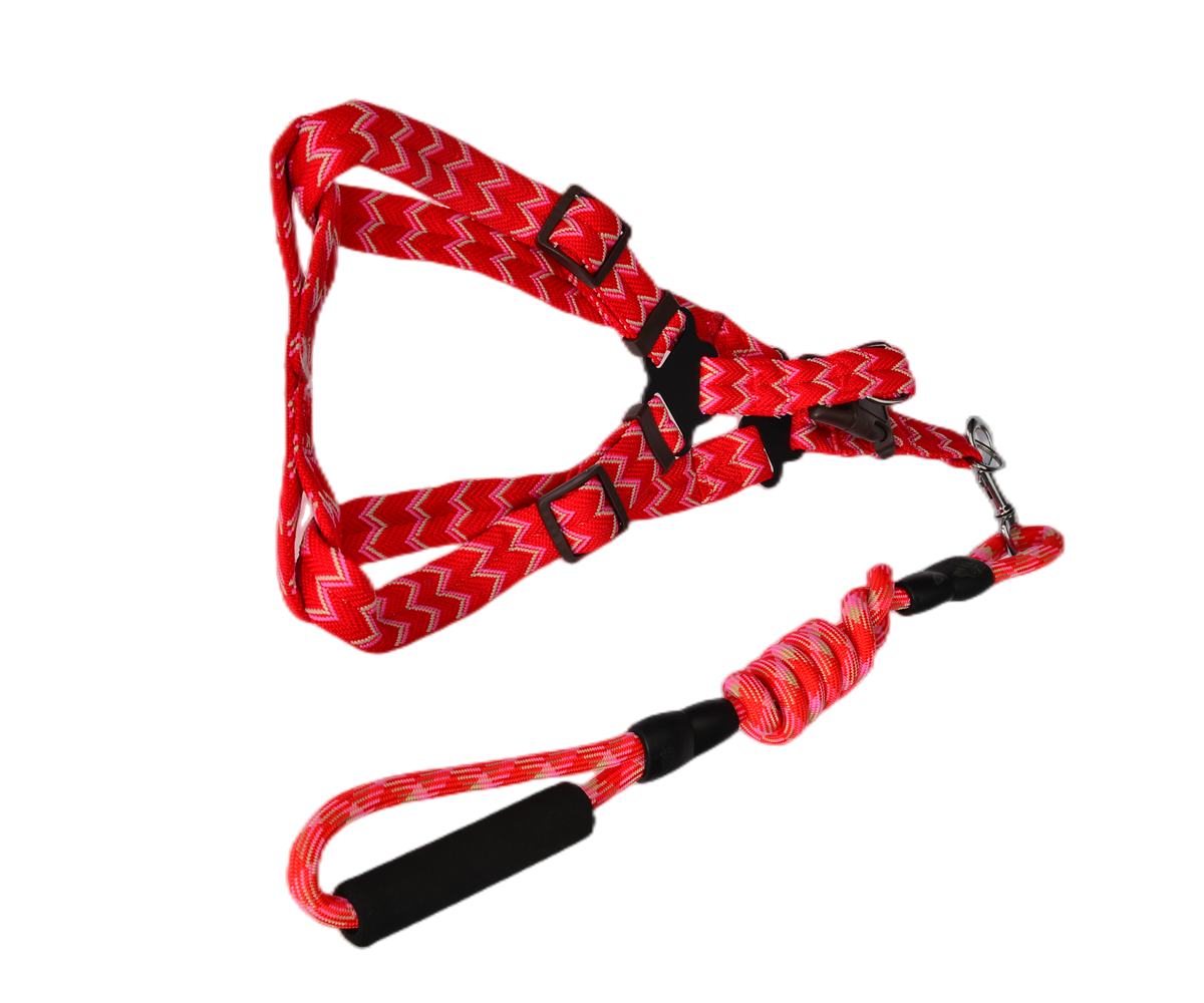 YES4PETS 2 X Medium Pet Dog Cat Puppy Kitten Rabbit Dog Harness Collar leash lead 5 Color V278-2-X-TH-02215
