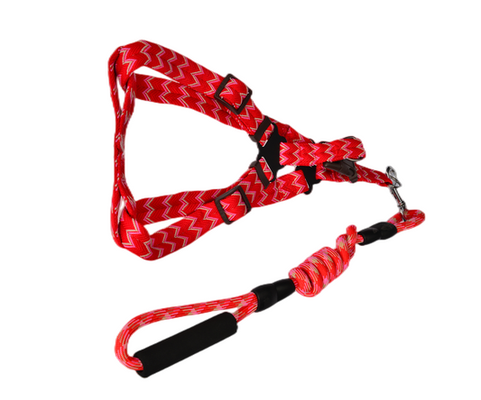 YES4PETS 2 X Medium Pet Dog Cat Puppy Kitten Rabbit Dog Harness Collar leash lead 5 Color V278-2-X-TH-02215