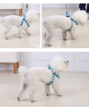 YES4PETS 2 X Medium Pet Dog Cat Puppy Kitten Rabbit Dog Harness Collar leash lead 5 Color V278-2-X-TH-02215