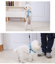 YES4PETS 2 X Medium Pet Dog Cat Puppy Kitten Rabbit Dog Harness Collar leash lead 5 Color V278-2-X-TH-02215