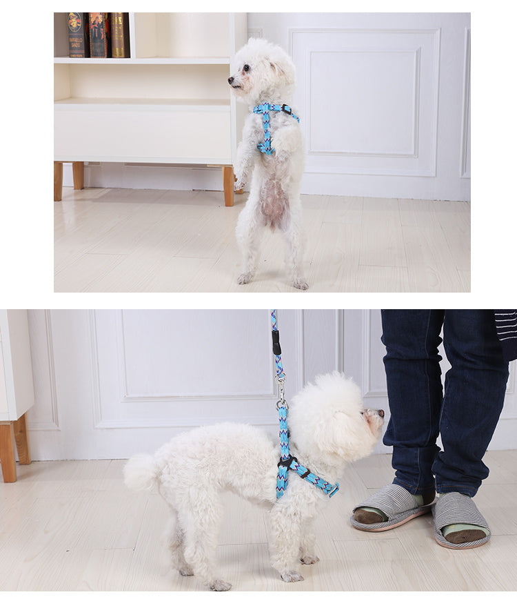 YES4PETS 2 X Medium Pet Dog Cat Puppy Kitten Rabbit Dog Harness Collar leash lead 5 Color V278-2-X-TH-02215
