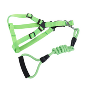 YES4PETS 2 X Medium Pet Dog Cat Puppy Kitten Rabbit Dog Harness Collar leash lead 3 Color V278-2-X-TH-03310