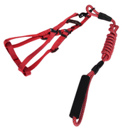 YES4PETS 2 X Medium Pet Dog Cat Puppy Kitten Rabbit Dog Harness Collar leash lead 3 Color V278-2-X-TH-03310