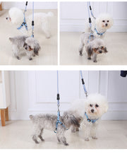 YES4PETS 2 X Medium Pet Dog Cat Puppy Kitten Rabbit Dog Harness Collar leash lead 3 Color V278-2-X-TH-03310