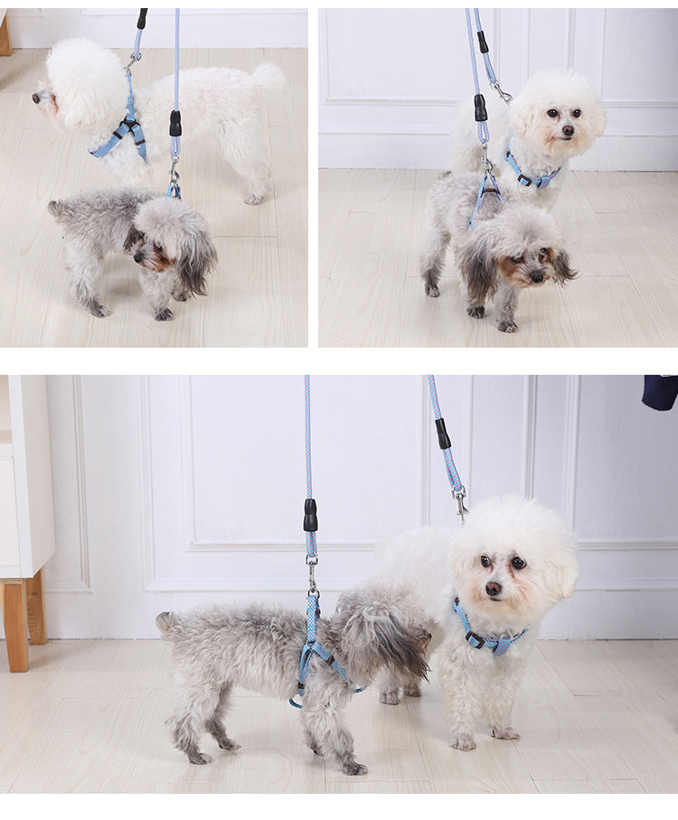 YES4PETS 2 X Medium Pet Dog Cat Puppy Kitten Rabbit Dog Harness Collar leash lead 3 Color V278-2-X-TH-03310