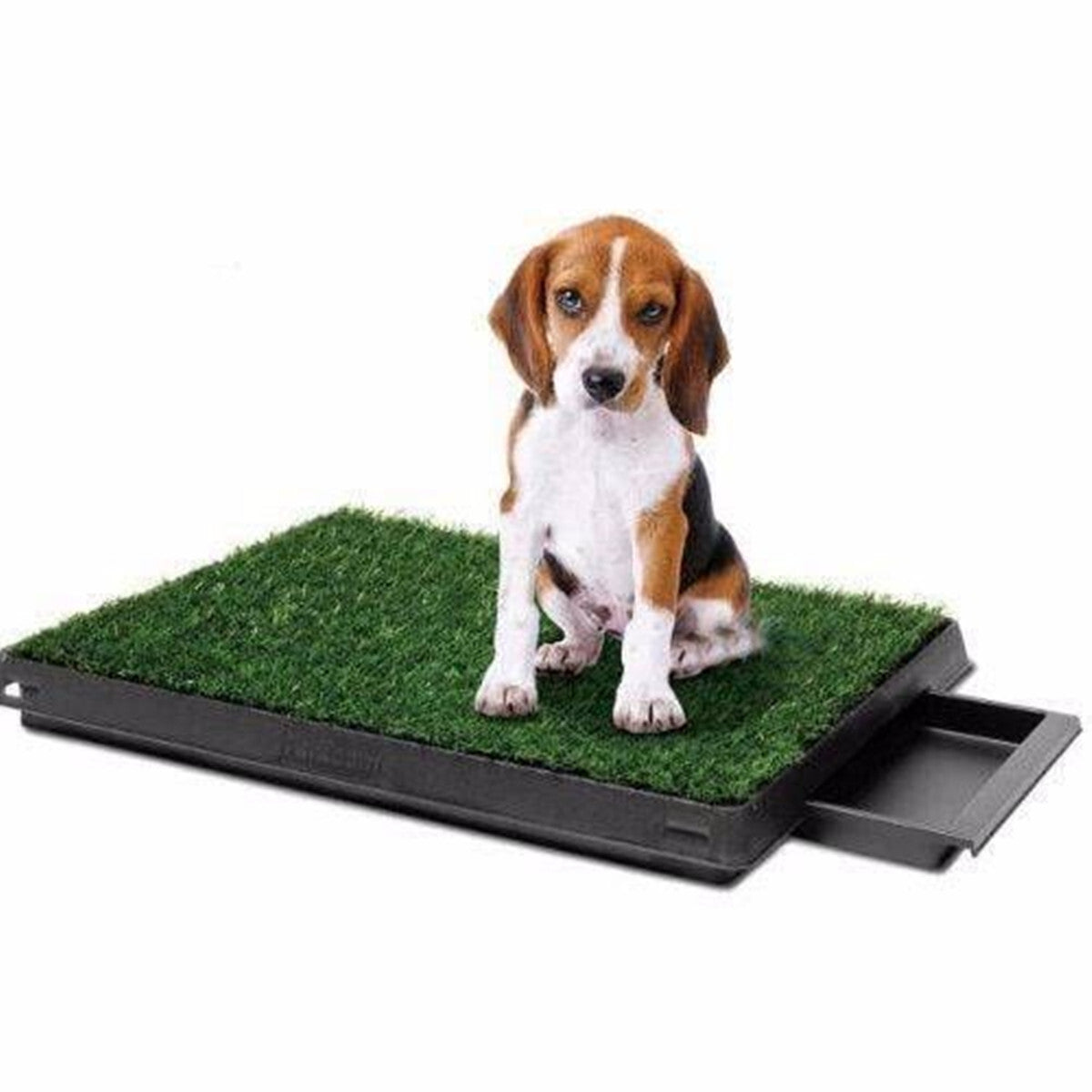 YES4PETS 2 x Synthetic Grass replacement only for Potty Pad Training Pad 59 X 46 CM V278-2XGRASS