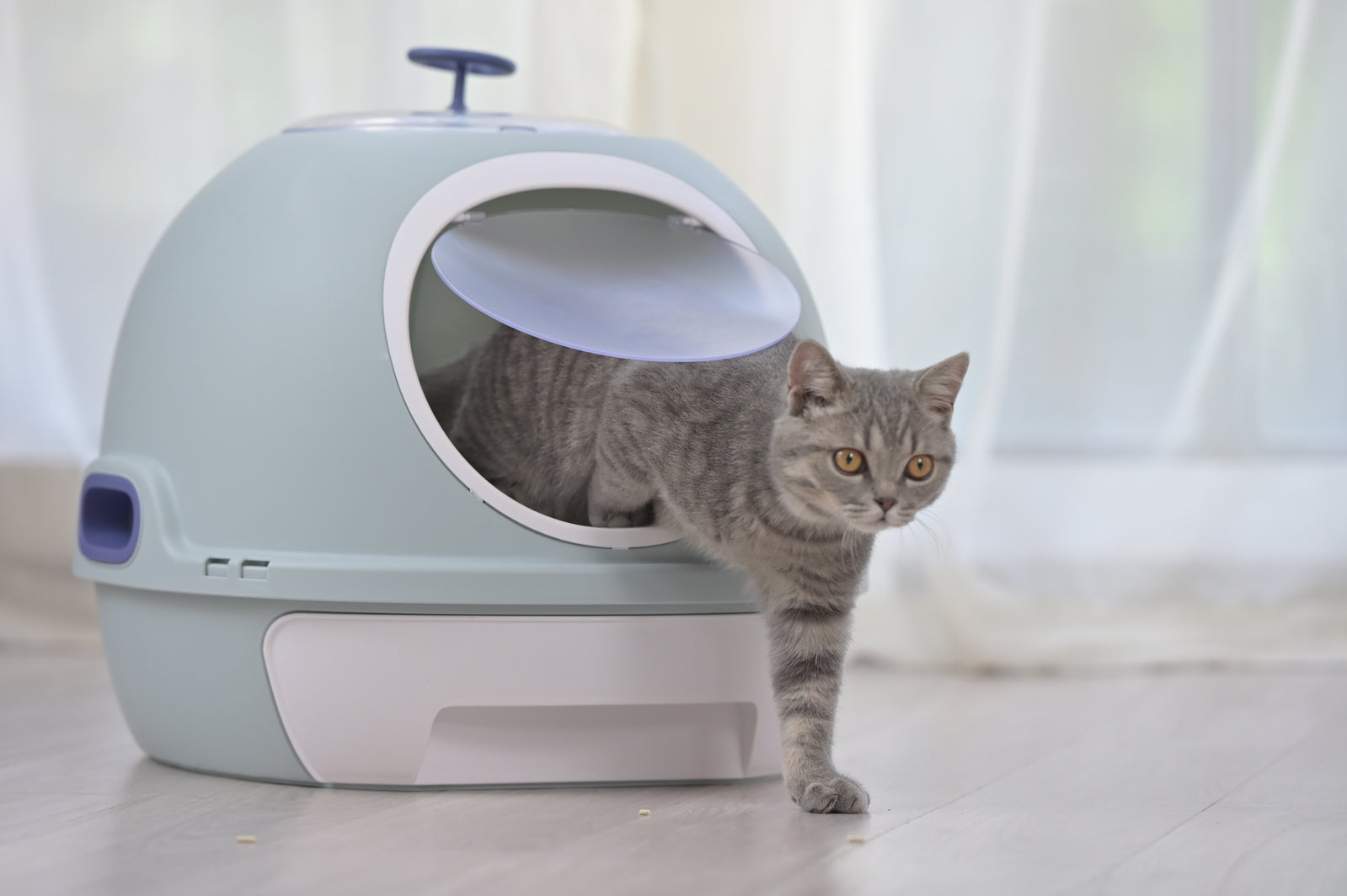 YES4PETS Cat Toilet Litter Box Tray House W Sky window Drawer Photocatalyst Purifier Blue V278-AT1002-2-PURIFIER-BLUE