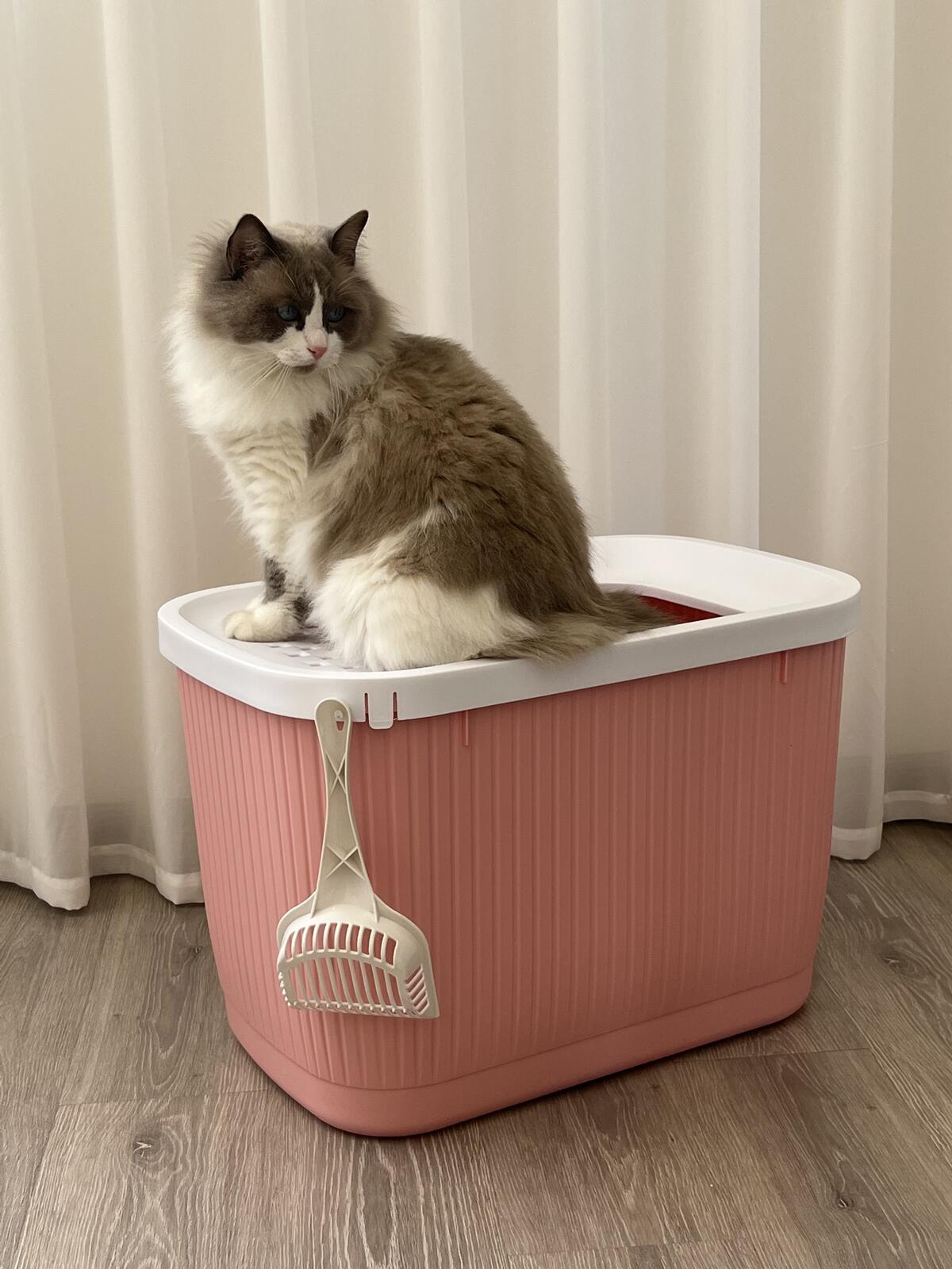 YES4PETS XXL Top Entry Cat Litter Box No Mess Large Enclosed Covered Kitty Tray Pink V278-AT1007-PINK
