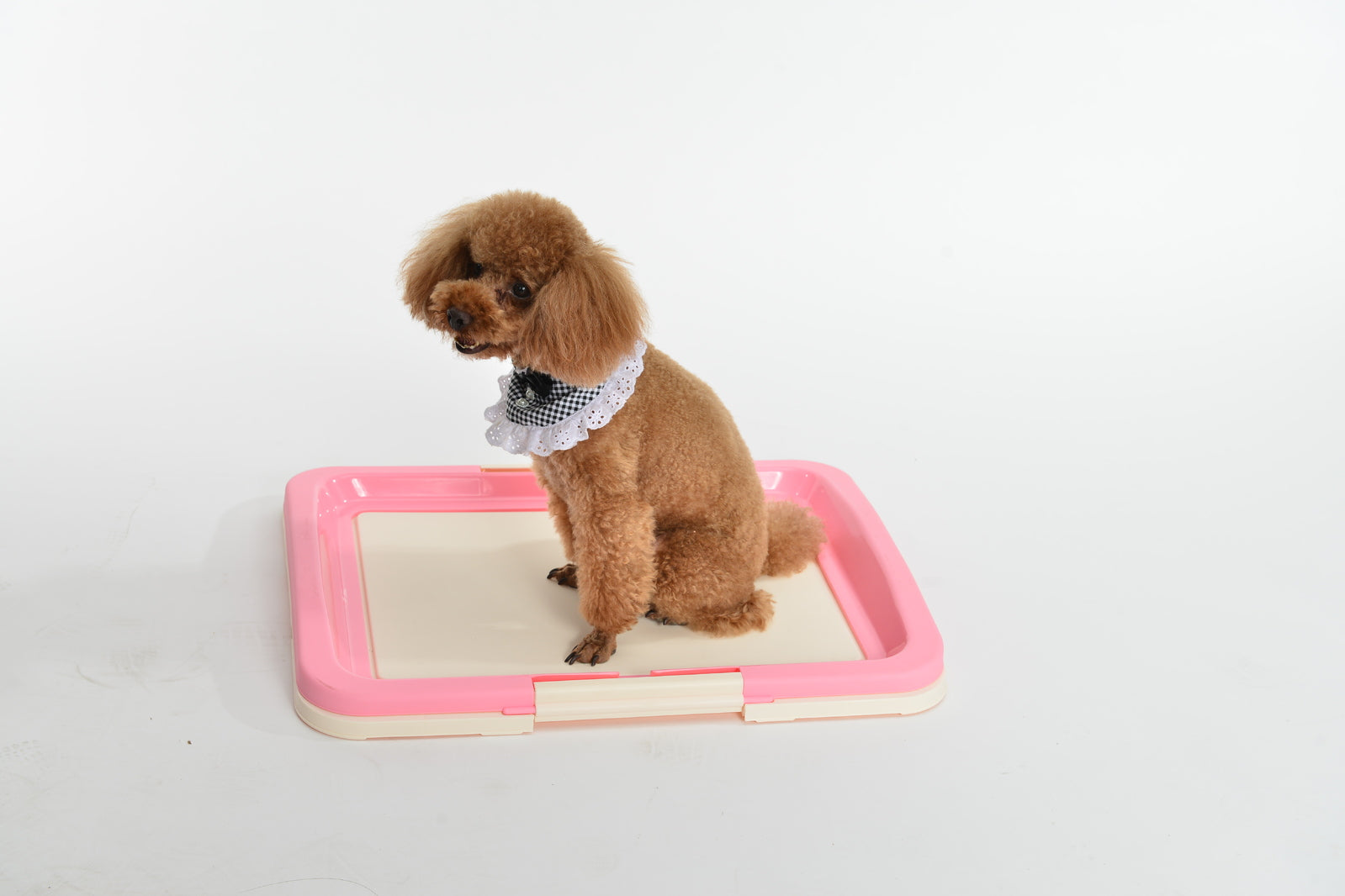YES4PETS Large Portable Dog Potty Training Tray Pet Puppy Toilet Trays Loo Pad Mat Pink V278-BP103-POTTY-L-PINK