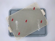 YES4PETS Small Portable Dog Potty Training Tray Mat Pet Puppy Toilet Trays Loo Pad Blue V278-BP130-1-POTTY-S-BLUE