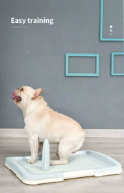 YES4PETS Medium Portable Dog Potty Training Tray Pet Puppy Toilet Trays Loo Pad Mat Blue V278-BP159-M-POTTY-POLE-BLUE