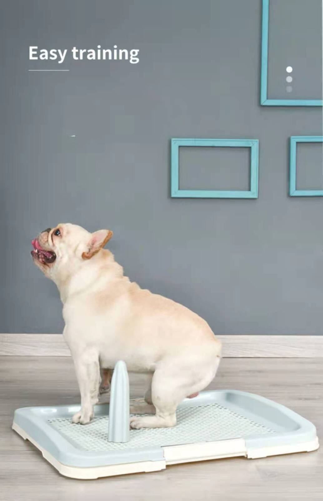 YES4PETS Medium Portable Dog Potty Training Tray Pet Puppy Toilet Trays Loo Pad Mat Blue V278-BP159-M-POTTY-POLE-BLUE