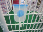 YES4PETS Pet Hanging Water Bottle No Drip Water Dispenser Rabbit Dog Cat Drinking Bottle-Blue V278-BP289-PET-BOTTLE-BLUE