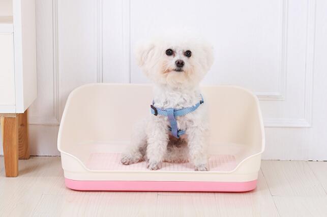 YES4PETS Medium Portable Dog Rabbit Potty Training Tray Pet Puppy Toilet Trays Loo Pad Mat With Wall Pink V278-BP301-PET-POTTY-PINK