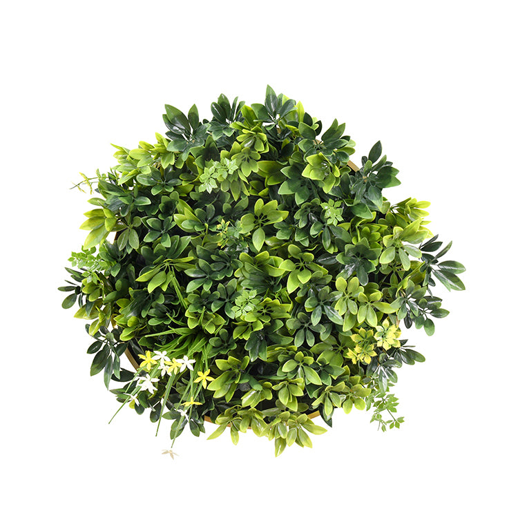 YES4HOMES Artificial Green Wall Plant Garden Panel Daffodil Smile Disc Art 50cm Grassy UV Resistant Frame V278-CCGA153V027-DAFFODIL