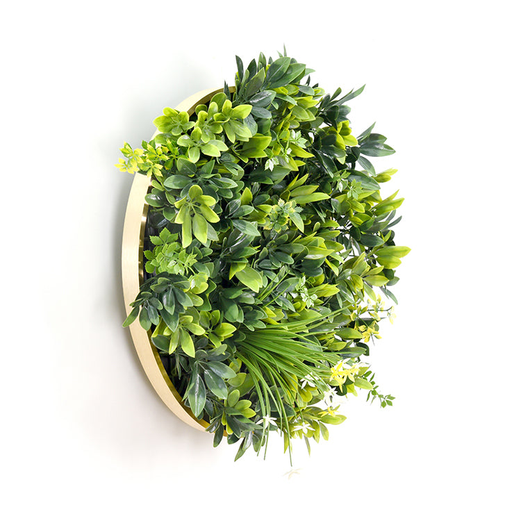 YES4HOMES Artificial Green Wall Plant Garden Panel Daffodil Smile Disc Art 50cm Grassy UV Resistant Frame V278-CCGA153V027-DAFFODIL